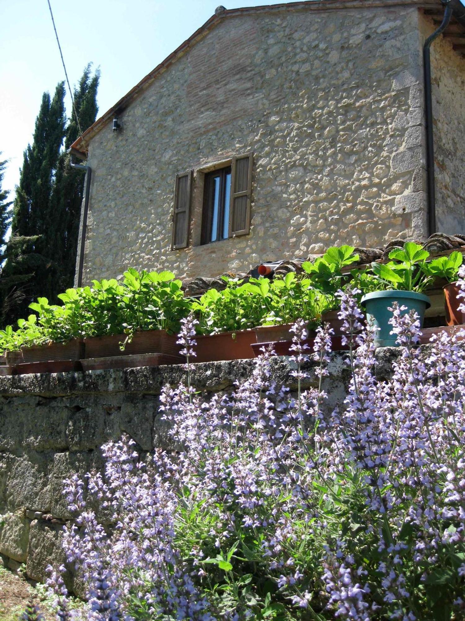 Agriturismo Il Caio Четона Екстер'єр фото